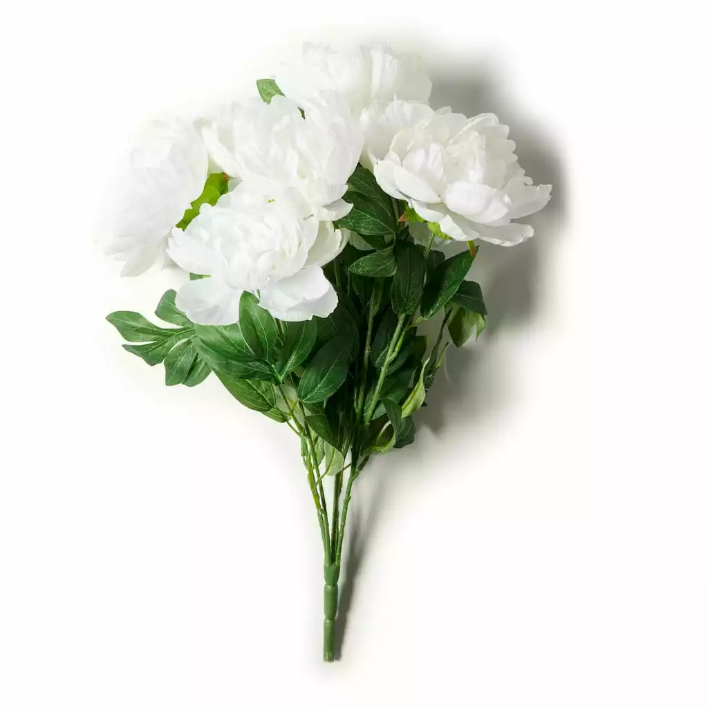 New π 12 Pack: White Peony Bush by Ashland® β€οΈ 7 New π 12 Pack: White Peony Bush by Ashland® β€οΈ - Image 5