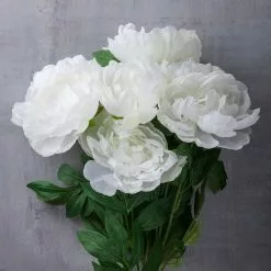 New π 12 Pack: White Peony Bush by Ashland® β€οΈ 9 New π 12 Pack: White Peony Bush by Ashland® β€οΈ -Michaels Store MP547350 22