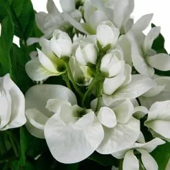 Hot Sale 🌟 12 Pack: White Wisteria Bush by Ashland® 🧨 -Michaels Store MP547400 2