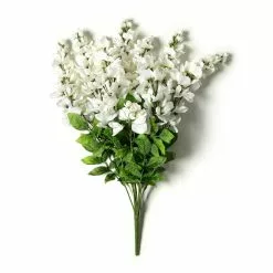 Hot Sale 🌟 12 Pack: White Wisteria Bush by Ashland® 🧨 -Michaels Store MP547400 21