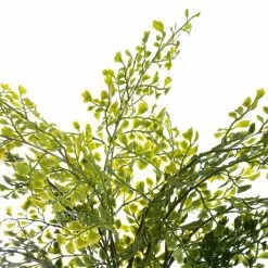 Buy ❤️ 12 Pack: Forest Fern Bush by Ashland® 🎁 -Michaels Store MP547457 2