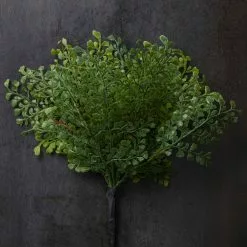 Buy ❤️ 12 Pack: Forest Fern Bush by Ashland® 🎁 -Michaels Store MP547457 22
