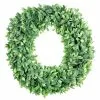 Hot Sale 🌟 12 Pack: 20" Foliage Wreath by Ashland® 🧨 -Michaels Store MP547486 1