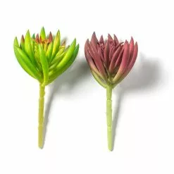 Best Sale 😍 12 Pack: Assorted Succulent Pick by Ashland® 🎁 -Michaels Store MP547488 21