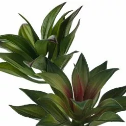 Deals π₯ 12 Pack: Assorted Agave Pick by Ashland® π 14 Deals π₯ 12 Pack: Assorted Agave Pick by Ashland® π -Michaels Store MP547490 20