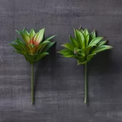 Deals π₯ 12 Pack: Assorted Agave Pick by Ashland® π 15 Deals π₯ 12 Pack: Assorted Agave Pick by Ashland® π -Michaels Store MP547490 22