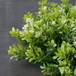 Hot Sale ⌛ 8 Pack: Green Boxwood Bush by Ashland® 💯 -Michaels Store MP547534 25