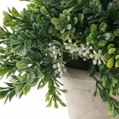 Budget ❤️ 6 Pack: Premade Boxwood Bush by Ashland® 🤩 -Michaels Store MP547538 20