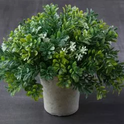 Budget ❤️ 6 Pack: Premade Boxwood Bush by Ashland® 🤩 -Michaels Store MP547538 22