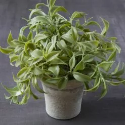 Flash Sale ✨ 6 Pack: Premade Soft Plastic Leaves Bush by Ashland® 👏 -Michaels Store MP547545 22