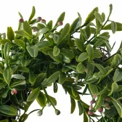 Best deal 😉 6 Pack: 9" Pink Baby's Breath Wreath by Ashland® 😉 -Michaels Store MP547546 20