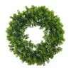 Cheapest ⌛ 12 Pack: 22" Boxwood Wreath by Ashland® 🔔 -Michaels Store MP547547 1