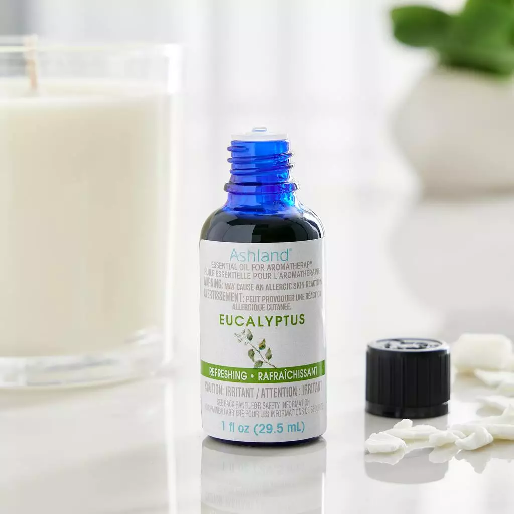 Best deal 👏 8 Pack: Eucalyptus Refreshing Essential Oil by Ashland® 😀 4 Best deal 👏 8 Pack: Eucalyptus Refreshing Essential Oil by Ashland® 😀 - Image 2