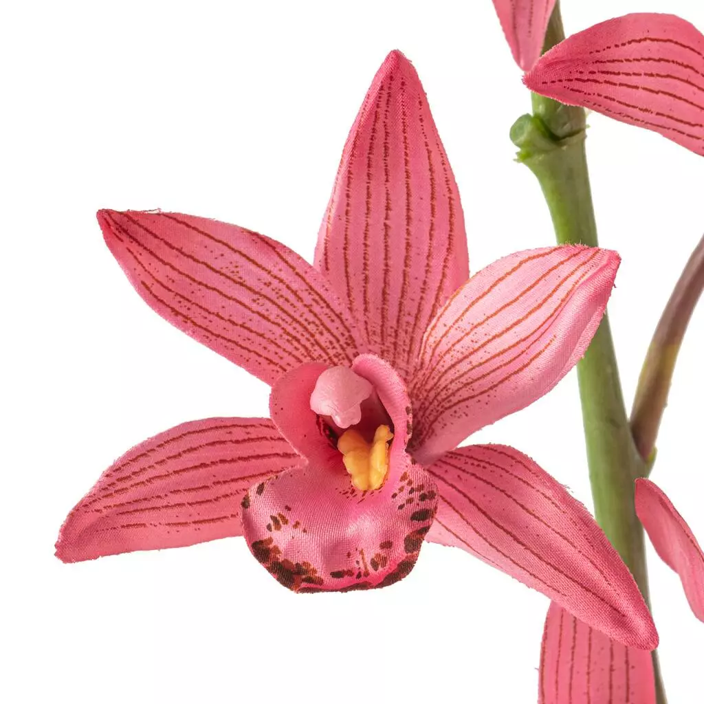 Best Pirce ⭐ 6 Pack: Mauve Boat Orchid Spray by Ashland® ✔️ 7 Best Pirce ⭐ 6 Pack: Mauve Boat Orchid Spray by Ashland® ✔️ - Image 5