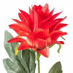 Hot Sale 👏 12 Pack: Red Hops Stem by Ashland® ⌛ -Michaels Store MP626421 20