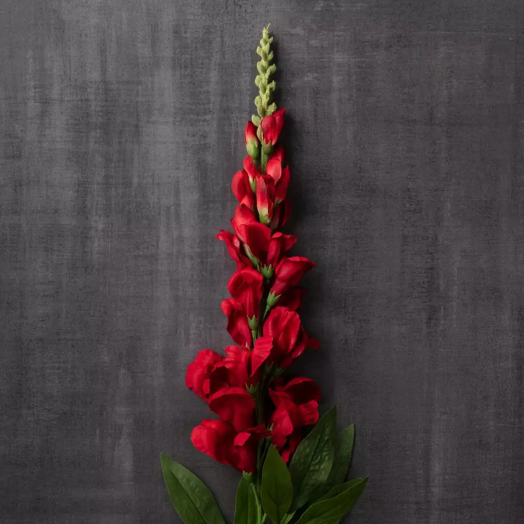 Cheap 🧨 12 Pack: Red Snapdragon Spray by Ashland® ⭐ 7 Cheap 🧨 12 Pack: Red Snapdragon Spray by Ashland® ⭐ - Image 5