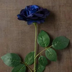 Cheap 🥰 12 Pack: Navy Princess Rose Stem by Ashland® 🔥 -Michaels Store MP626447 25