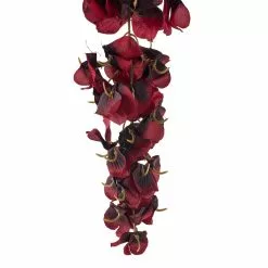 Hot Sale 🥰 12 Pack: Burgundy Wisteria Stem by Ashland® 🔔 12 Hot Sale 🥰 12 Pack: Burgundy Wisteria Stem by Ashland® 🔔 -Michaels Store MP626453 20