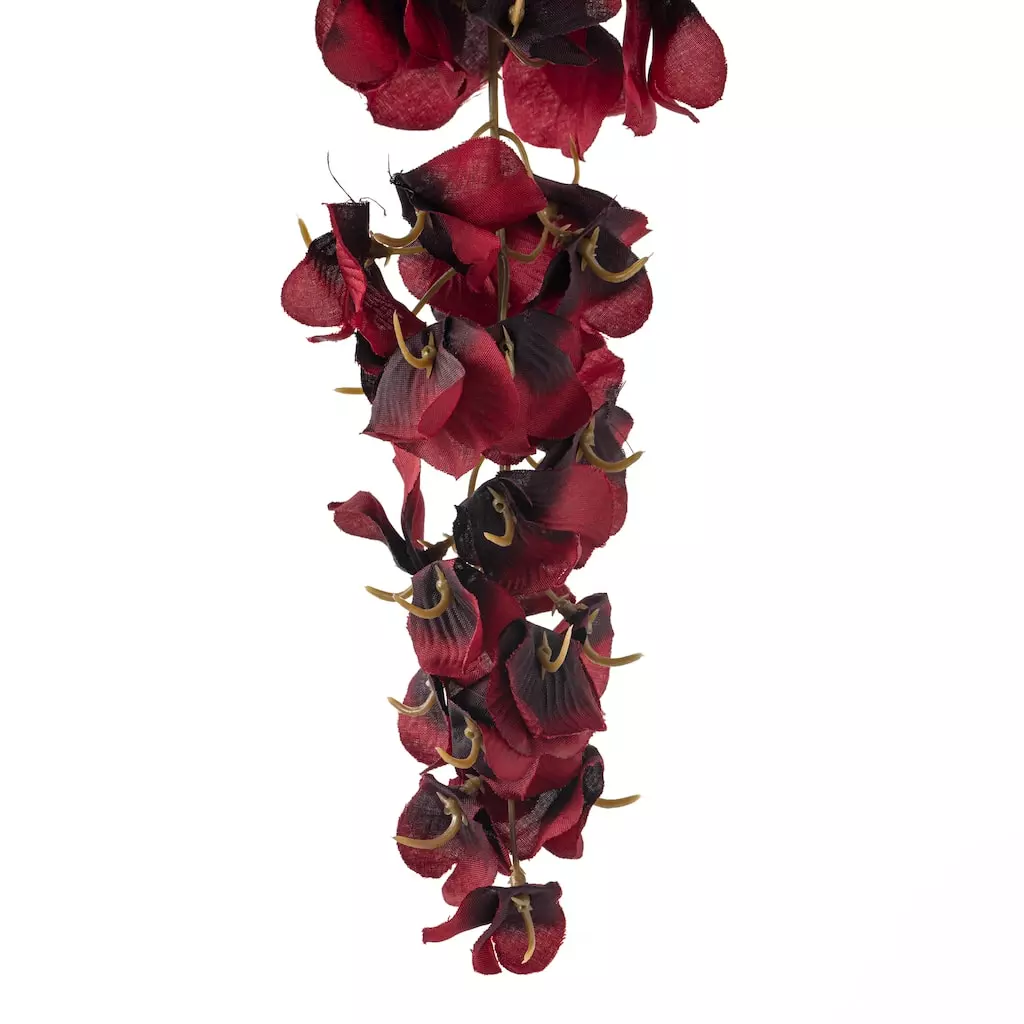 Hot Sale 🥰 12 Pack: Burgundy Wisteria Stem by Ashland® 🔔 7 Hot Sale 🥰 12 Pack: Burgundy Wisteria Stem by Ashland® 🔔 - Image 5
