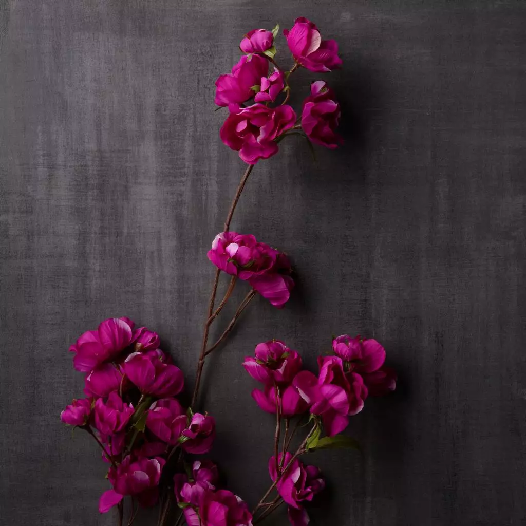 Promo 😉 6 Pack: Mauve Anemone Spray by Ashland® 🤩 7 Promo 😉 6 Pack: Mauve Anemone Spray by Ashland® 🤩 - Image 5