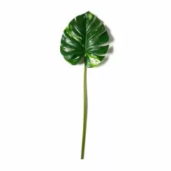 Best Pirce ✨ 12 Pack: Monstera Leaf Stem by Ashland® ❤️ 11 Best Pirce ✨ 12 Pack: Monstera Leaf Stem by Ashland® ❤️ -Michaels Store MP626467 21
