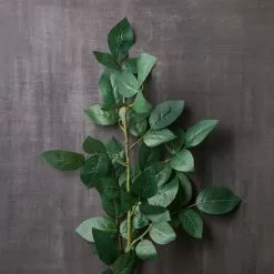 Top 10 ⌛ 12 Pack: Rose Leaf Stem by Ashland® 🔥 -Michaels Store MP626471 22