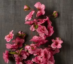 Brand new ⌛ 12 Pack: Mauve Peach Blossom Spray by Ashland® 🛒 -Michaels Store MP626479 25