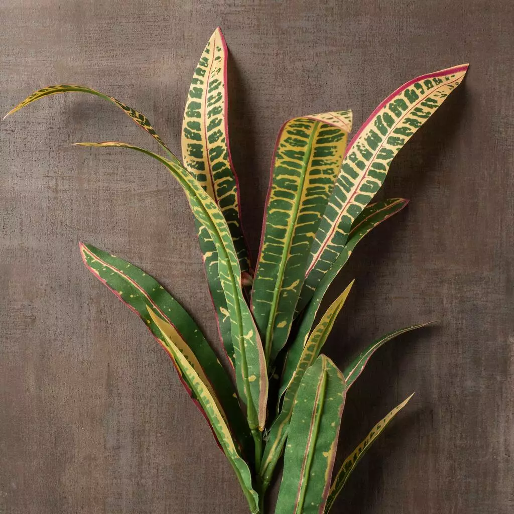 Wholesale ๐ 12 Pack: Green & Yellow Croton Stem by Ashland® ๐งจ 6 Wholesale ๐ 12 Pack: Green & Yellow Croton Stem by Ashland® ๐งจ - Image 4