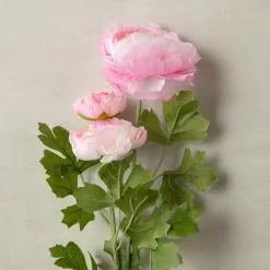 Coupon 🔔 12 Pack: Pink Ranunculus Spray by Ashland® 🥰 -Michaels Store MP626529 25