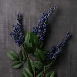 Best reviews of 🥰 12 Pack: Blue Berry Spray by Ashland® 🔥 -Michaels Store MP626572 22