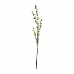 Best Sale 🎁 12 Pack: Green Willow Stem by Ashland® 🌟 12 Best Sale 🎁 12 Pack: Green Willow Stem by Ashland® 🌟 -Michaels Store MP626847 21