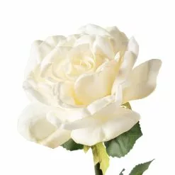 Deals 😀 6 Pack: White Rose Stem by Ashland® 🥰 -Michaels Store MP626862 20