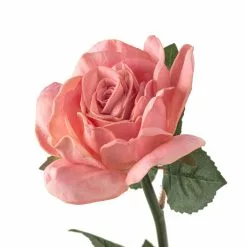 Discount ⌛ 6 Pack: Blush Rose Stem by Ashland® 🎁 -Michaels Store MP626864 20