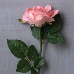 Discount ⌛ 6 Pack: Blush Rose Stem by Ashland® 🎁 -Michaels Store MP626864 22