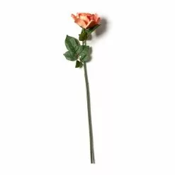 Top 10 💯 6 Pack: Coral Rose Stem by Ashland® ⌛ -Michaels Store MP626866 21