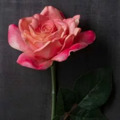 Promo 😀 6 Pack: Pink Rose Stem by Ashland® 🎁 -Michaels Store MP626868 22