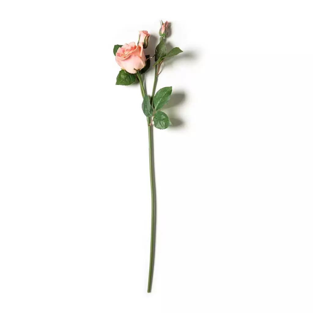 Best reviews of ⌛ 6 Pack: Blush Rose Spray by Ashland® 🛒 6 Best reviews of ⌛ 6 Pack: Blush Rose Spray by Ashland® 🛒 - Image 4