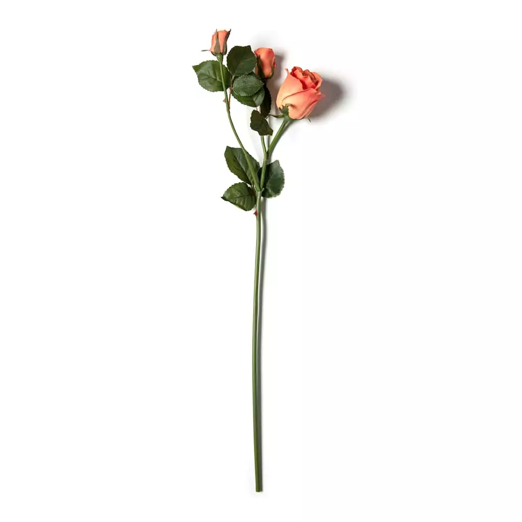 Wholesale ✨ 6 Pack: Coral Rose Spray by Ashland® 🥰 6 Wholesale ✨ 6 Pack: Coral Rose Spray by Ashland® 🥰 - Image 4