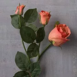 Wholesale ✨ 6 Pack: Coral Rose Spray by Ashland® 🥰 13 Wholesale ✨ 6 Pack: Coral Rose Spray by Ashland® 🥰 -Michaels Store MP626880 22