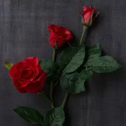 Deals 🤩 6 Pack: Red Rose Spray by Ashland® 🛒 -Michaels Store MP626884 25