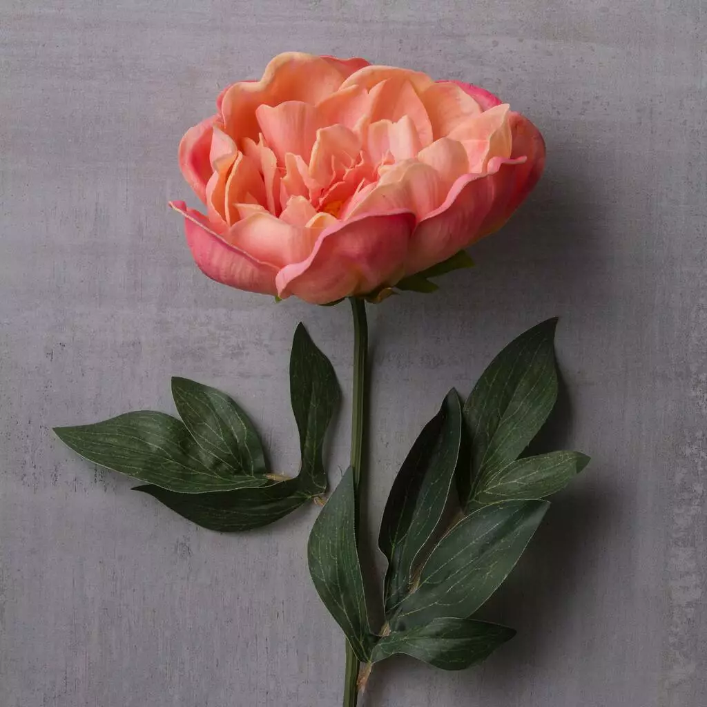 Best Sale ⭐ 6 Pack: Pink Peony Stem by Ashland® ❤️ 6 Best Sale ⭐ 6 Pack: Pink Peony Stem by Ashland® ❤️ - Image 4