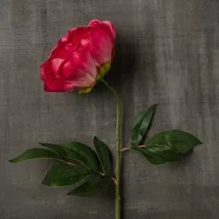 Best reviews of 🛒 6 Pack: Fuchsia Peony Stem by Ashland® 👏 -Michaels Store MP626892 25