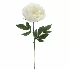 Promo 🤩 12 Pack: White Peony Stem by Ashland® 💯 -Michaels Store MP626894 3