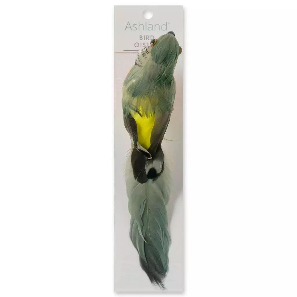 Best reviews of โจ 12 Pack: Assorted Feather Parrots by Ashland® ๐ 7 Best reviews of โจ 12 Pack: Assorted Feather Parrots by Ashland® ๐ - Image 5