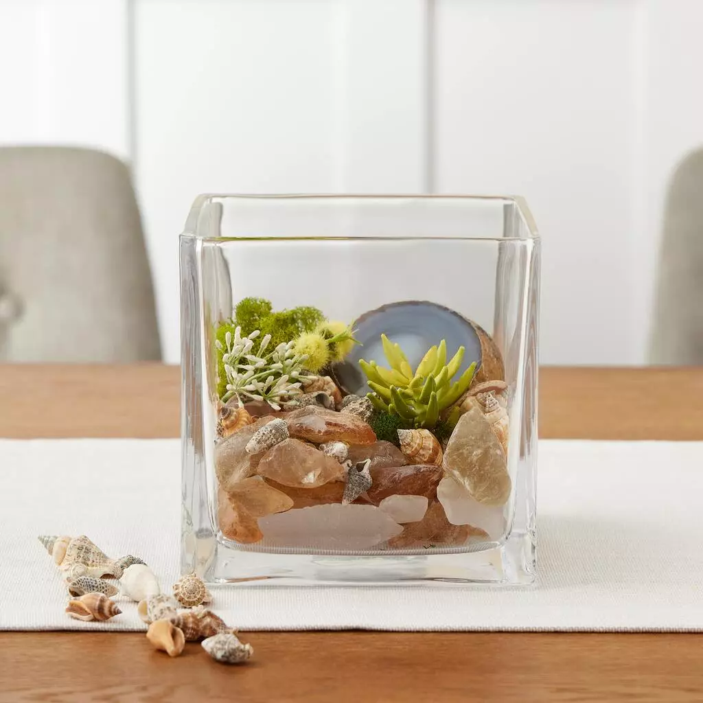 Best deal ✔️ 12 Pack: Natural & Dark Mixed Shells by Ashland® ⭐ 4 Best deal ✔️ 12 Pack: Natural & Dark Mixed Shells by Ashland® ⭐ - Image 2