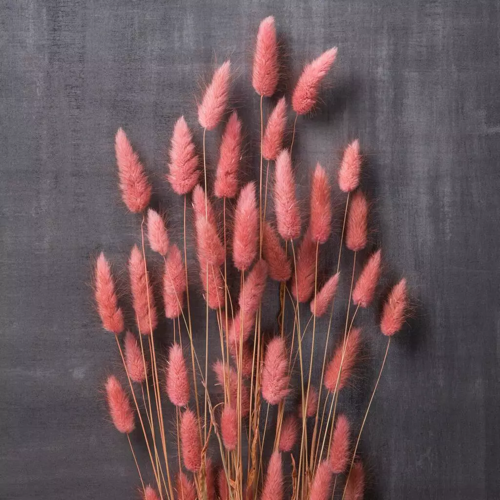 Discount ⭐ 8 Pack: Assorted Lagurus Bundle by Ashland® ✨ 7 Discount ⭐ 8 Pack: Assorted Lagurus Bundle by Ashland® ✨ - Image 5