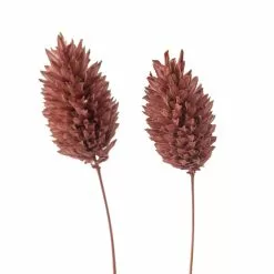 Cheap π 6 Pack: Coral Poa Grass Bundle by Ashland® π₯ 11 Cheap π 6 Pack: Coral Poa Grass Bundle by Ashland® π₯ -Michaels Store MP628612 20