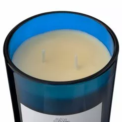 Wholesale 😍 8 Pack: Twilight & Currant 2-Wick Jar Candle by Ashland® 🎁 -Michaels Store MP638398 31