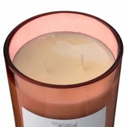 New ⌛ 8 Pack: Peony & Rose 2-Wick Jar Candle by Ashland® 🔥 -Michaels Store MP638399 31