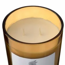 Best reviews of 😉 8 Pack: Grapefruit & Honey 2-Wick Jar Candle by Ashland® ❤️ -Michaels Store MP638406 31